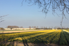 29-IMG_3221