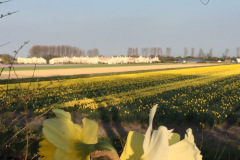 9-IMG_3220